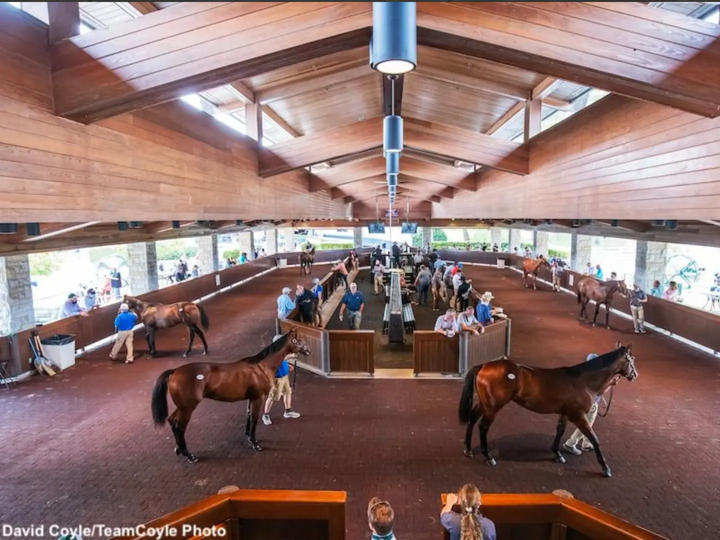 A group of people standing around two horses.