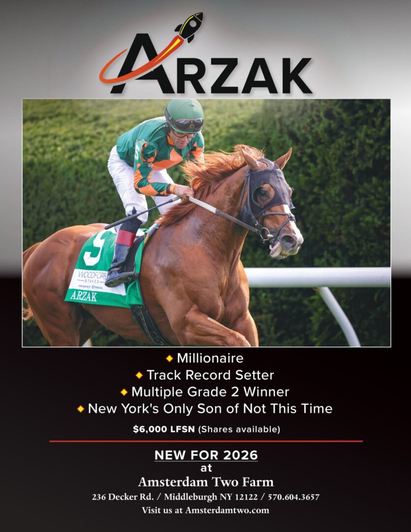 Horse racing advertisement for Arzak stallion.